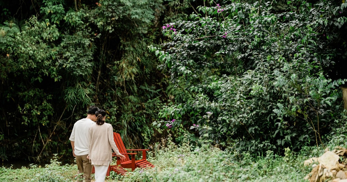 A serene scene of a couple walking in a lush, green rural setting with red chairs.