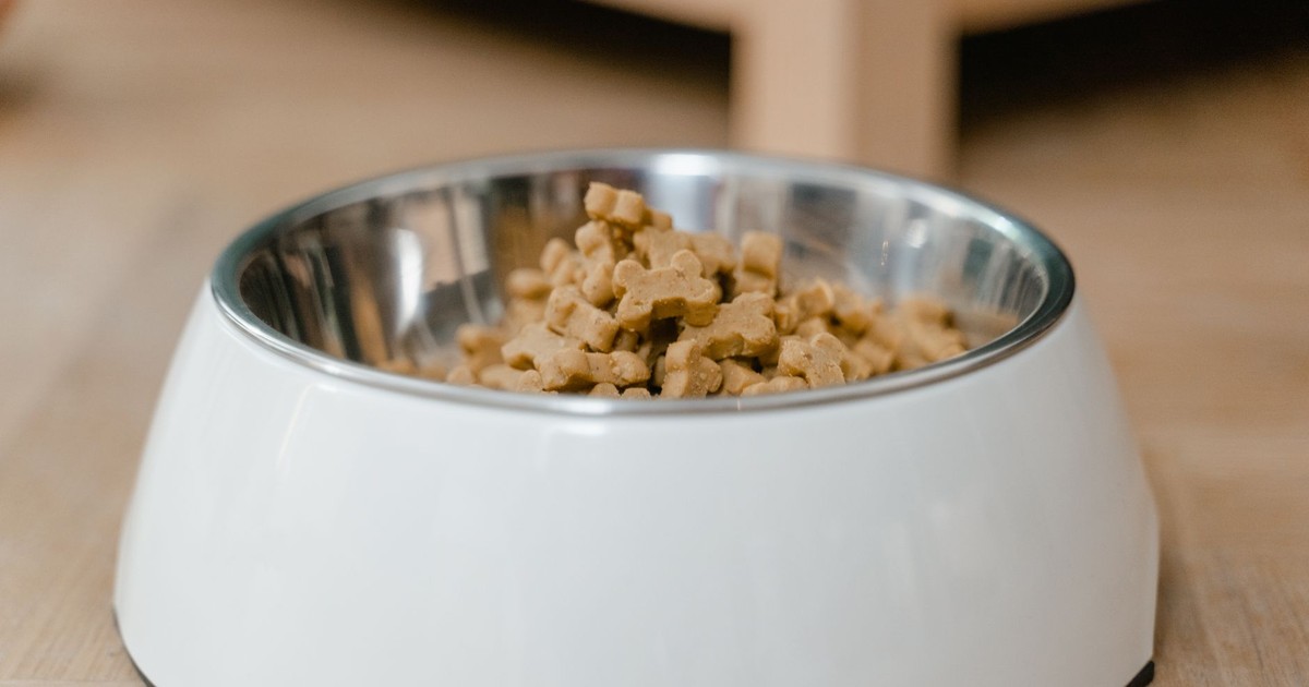 A stainless steel dog bowl filled with dry dog treats on a wooden floor.