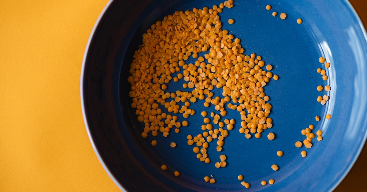 Close-up of dried orange lentils scattered in a blue bowl on a yellow background.