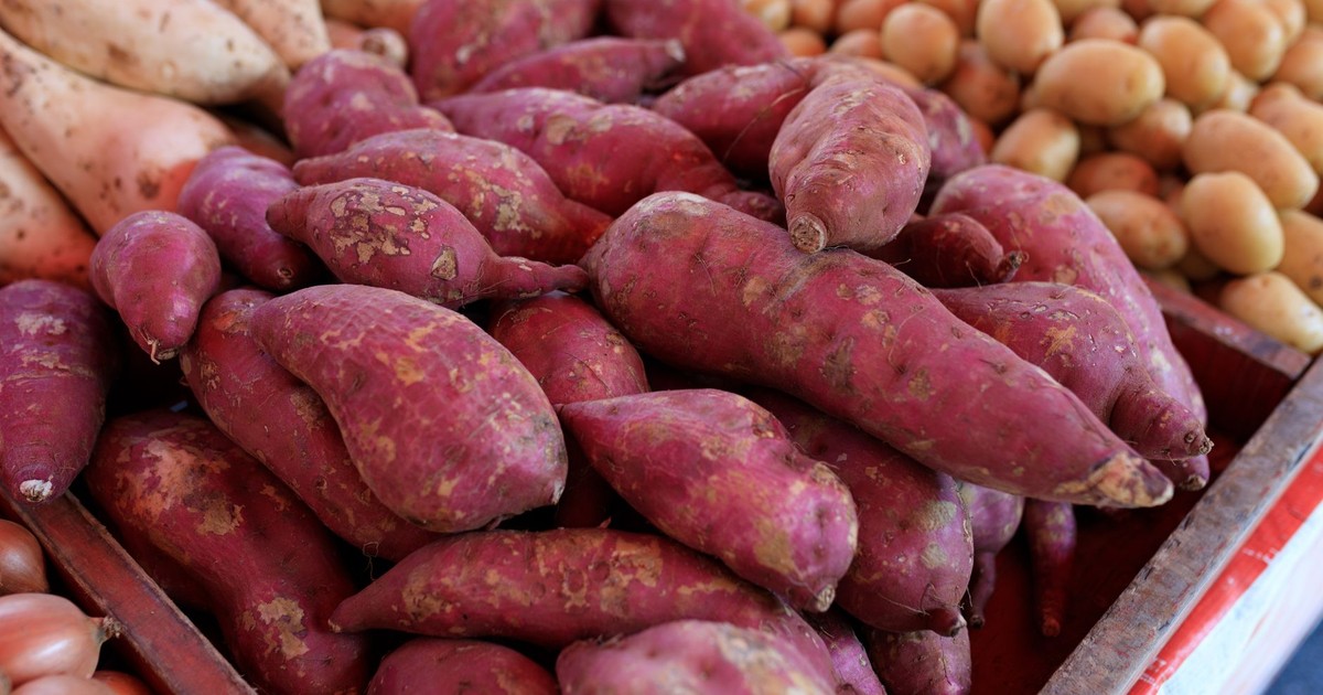 A vibrant selection of fresh sweet potatoes at a local market display highlighting their rich colors and textures.