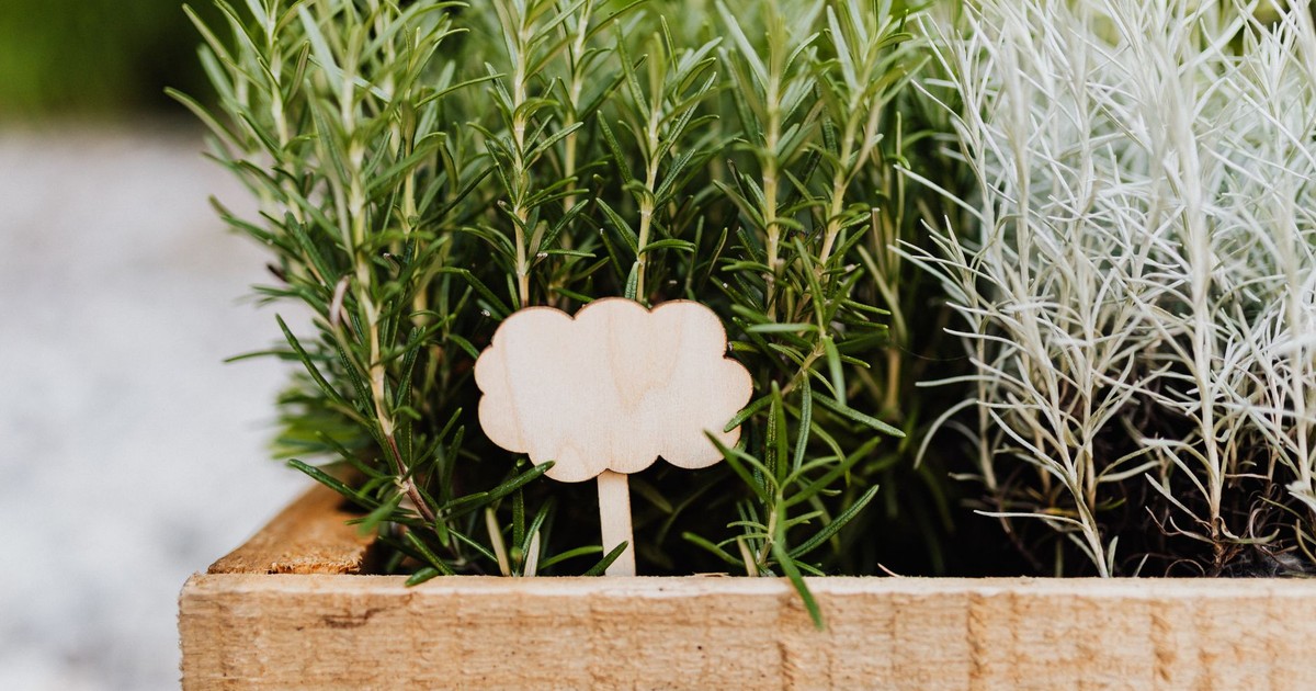 A wooden crate filled with fresh rosemary and lavender plants, featuring and a cloud-shaped sign.