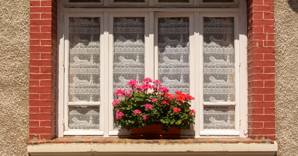 A vintage window adorned with colorful geraniums in a sunny outdoor setting.