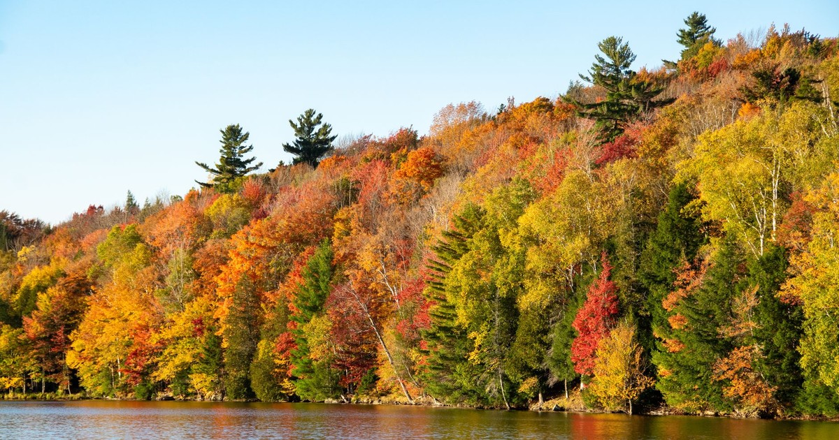 Beautiful vibrant fall foliage reflecting on a serene lake, showcasing the essence of autumn's colors.