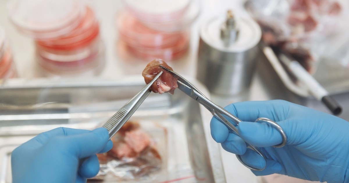 Scientist in laboratory dissecting meat sample for experimentation and study.
