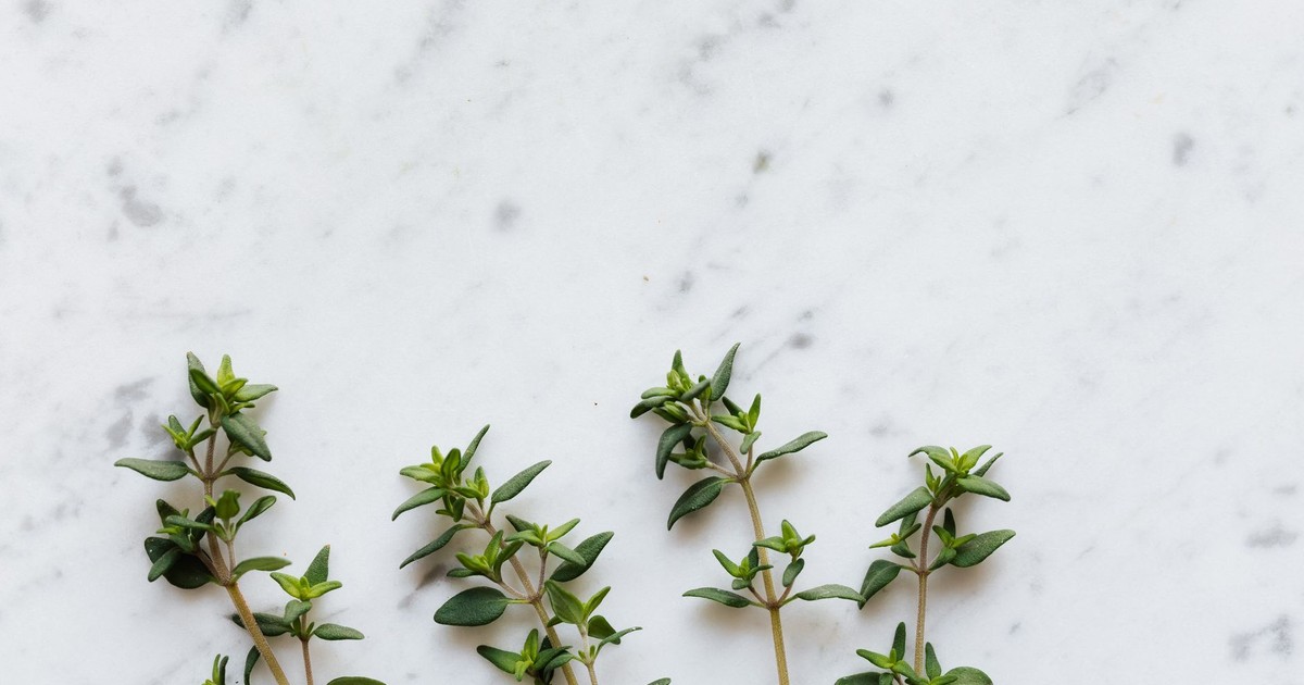 Top view of fresh green plant thyme placed on table in kitchen composition of spice preparing for meal at home