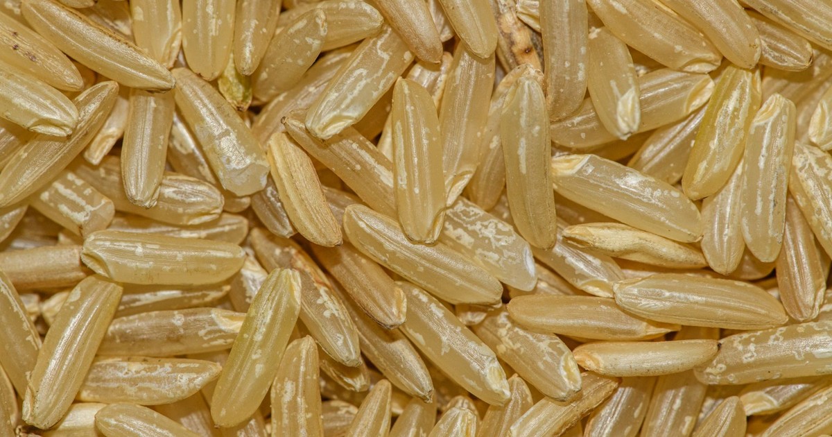 Detailed macro shot of uncooked brown rice grains, showcasing texture and natural color.