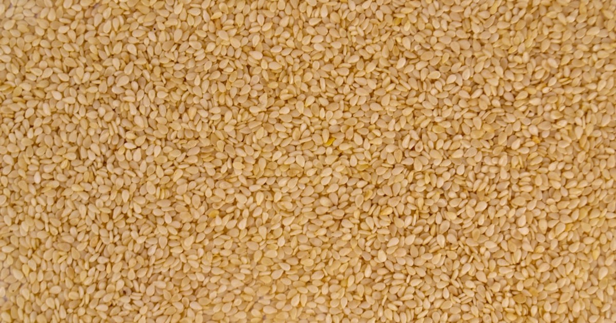 brown and white area rug