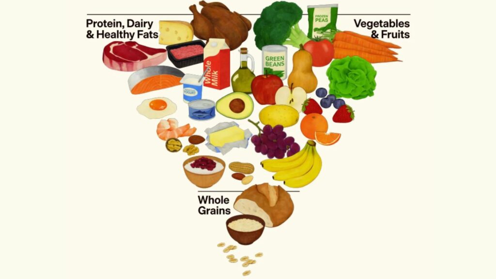The new US Food Pyramid released in January 2026
