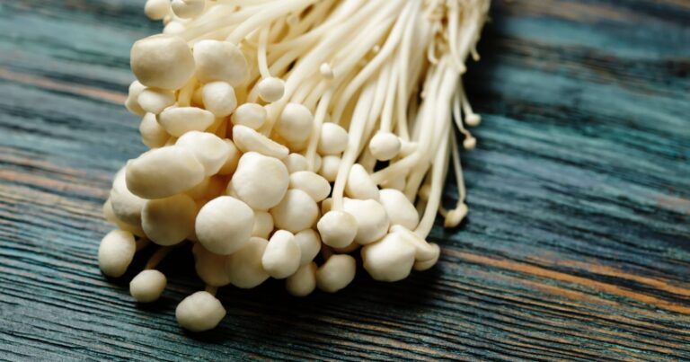 This Mushroom Compound May Help Protect Your Brain From Dementia - Featured image