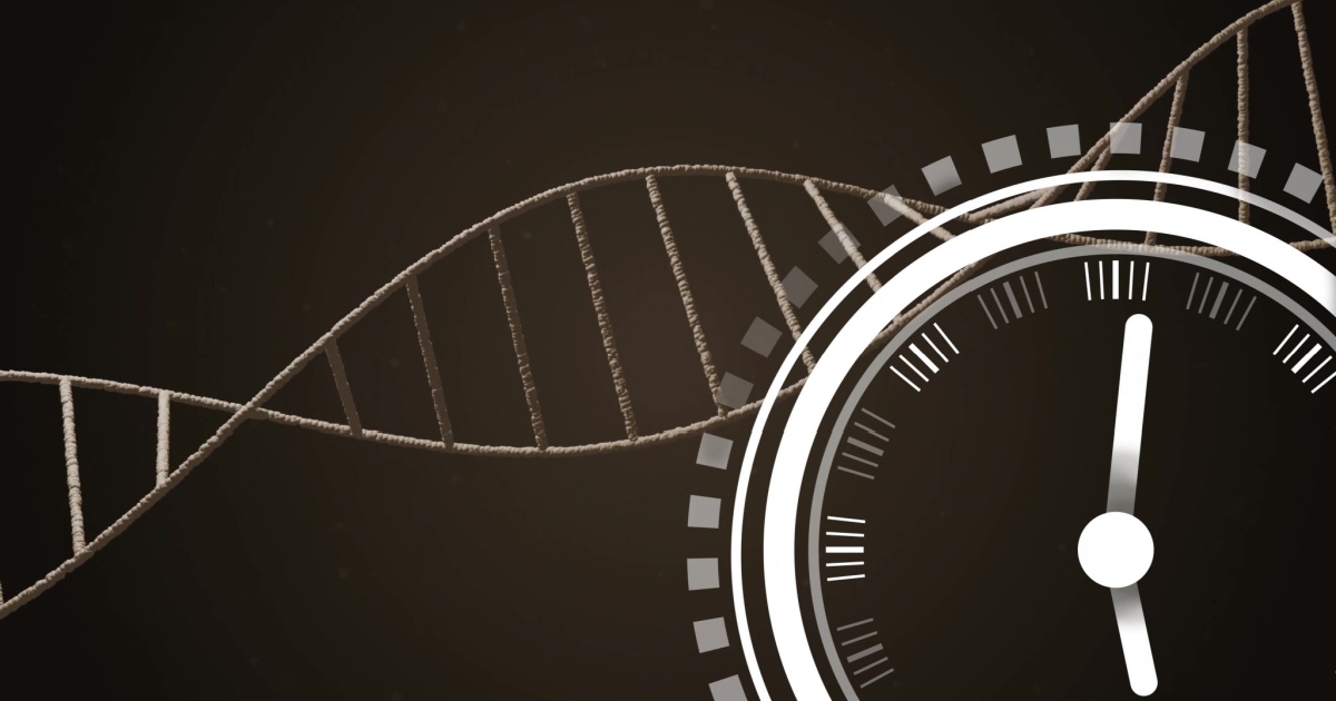 Scientists Built a Clock That Can Actually Predict When You’ll Die