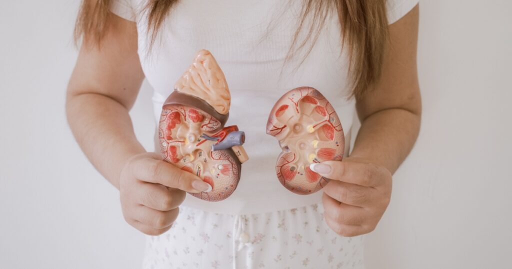 The Kidney Drug That Could Help Millions More Patients Than We Thought - Featured image