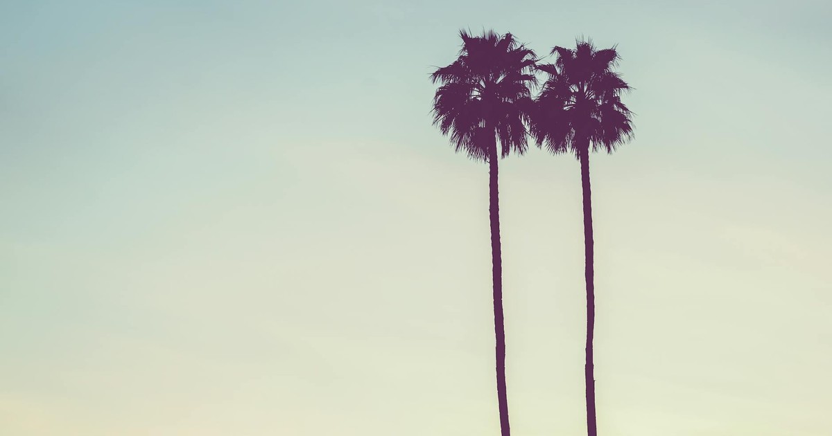 Silhouette of two palm trees against a pastel-hued sky, conveying tranquility.