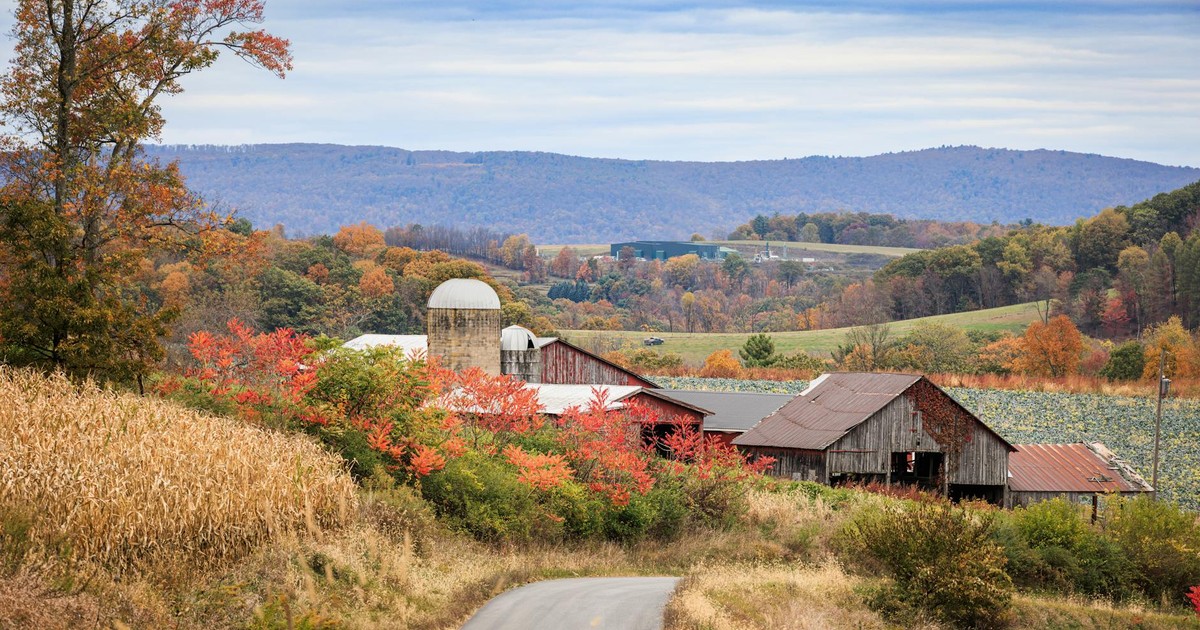 Autumn view of a scenic farm with red barns, fields, and colorful foliage in Williamsport, PA.