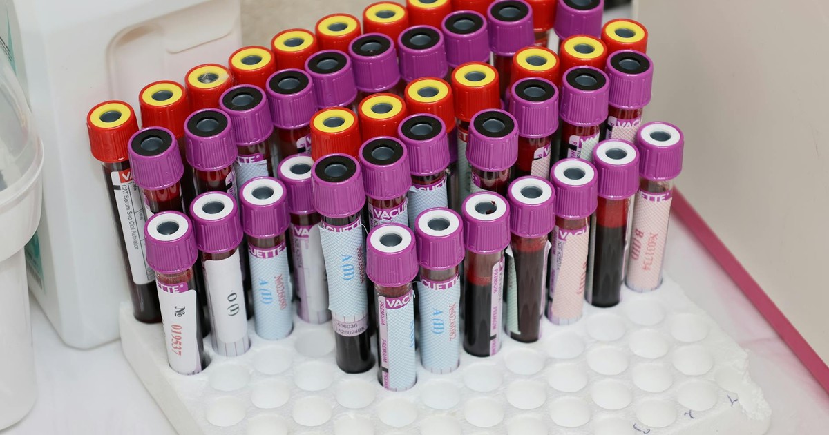 Rows of blood vials in a laboratory setting, ready for analysis.