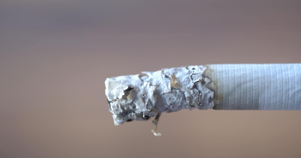 Detailed close-up of a cigarette with ash, highlighting textures and patterns of burning tobacco.
