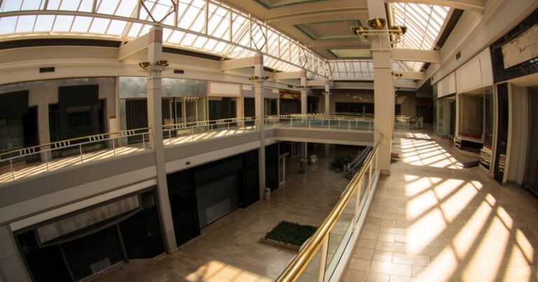 Dead Malls Are Being Reborn for a Troubling New Purpose - Featured image