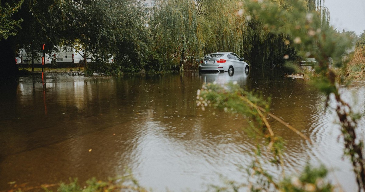 A silver car partially submerged in floodwaters surrounded by trees, reflecting environmental impact.