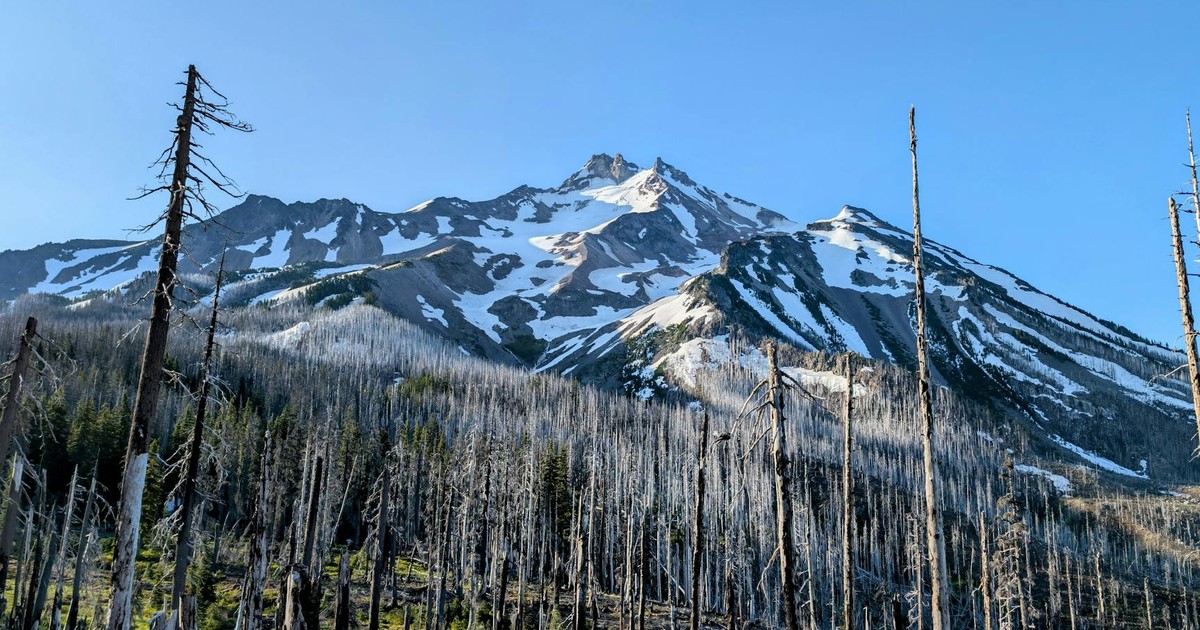 Explore the rugged beauty of Oregon's snow-covered peaks amidst a recovering forest landscape.