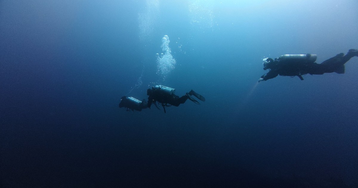 Scuba divers exploring the depths of the Red Sea, capturing the tranquility and mystery of the underwater world.