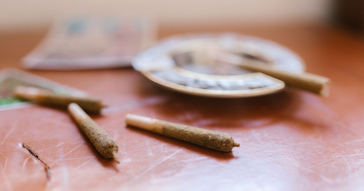 What New Research Actually Says About Cannabis and the Aging Brain