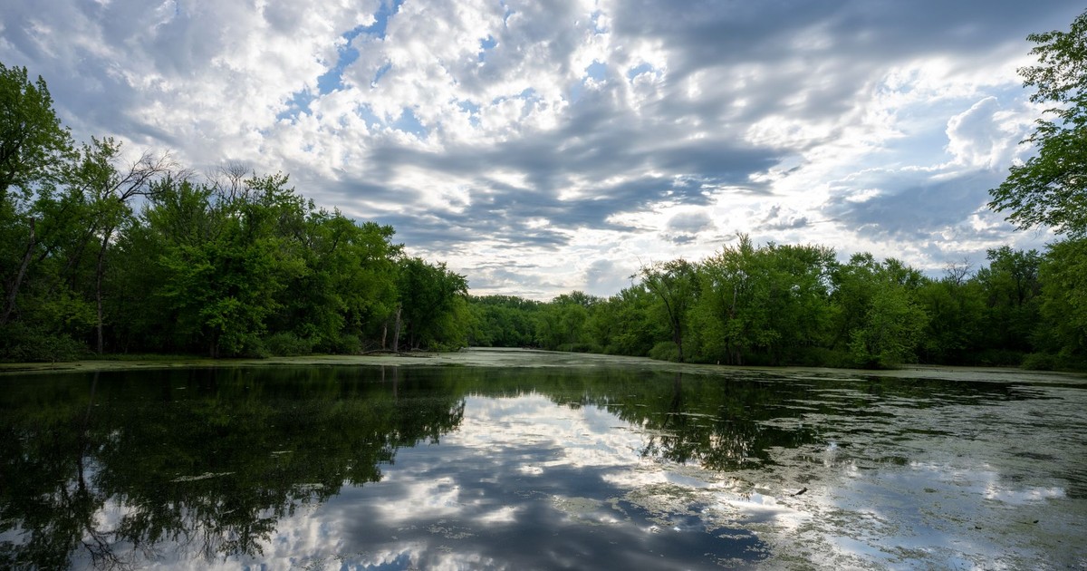 A tranquil lakeside scene with trees reflecting in calm waters under a partly cloudy sky in Wabasha, MN.