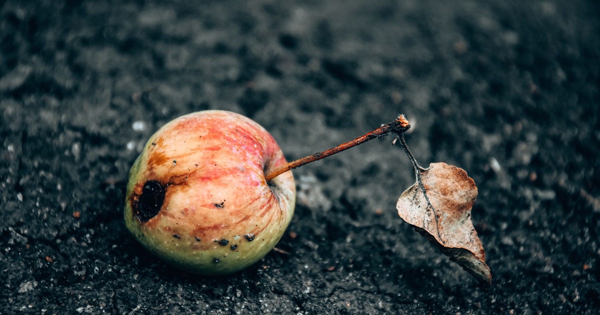 A close-up of a rotten apple with a dried leaf on dark soil, highlighting decay and nature's cycle.