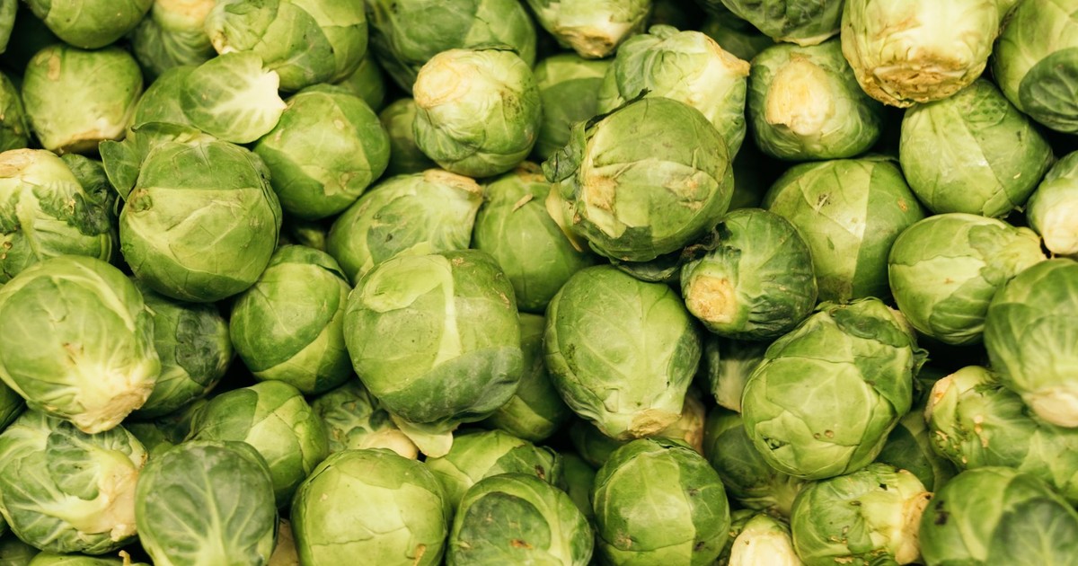 Top view of pile of lots of fresh brussels sprouts prepared for cooking