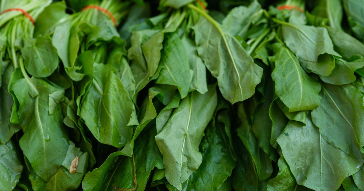 Close-up of fresh green spinach leaves bundled together, showcasing vibrant and healthy foliage.