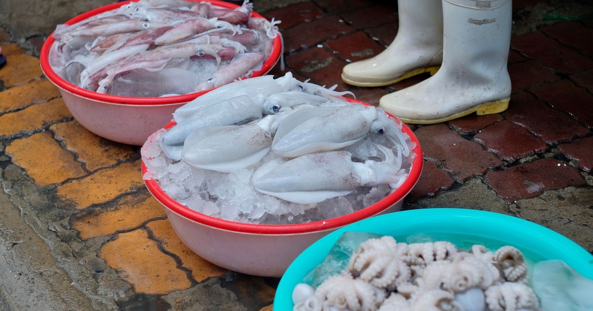 Close-up of fresh squid and octopus on ice in bowls at an outdoor market.