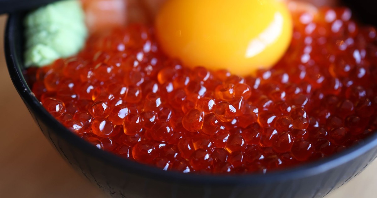 Close-up of a Japanese ikura donburi with fresh egg yolk and wasabi, highlighting vibrant colors and textures.