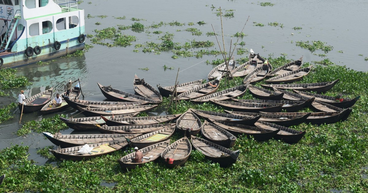 Cluster of traditional wooden boats on a river in Dhaka, Bangladesh, surrounded by water hyacinth.