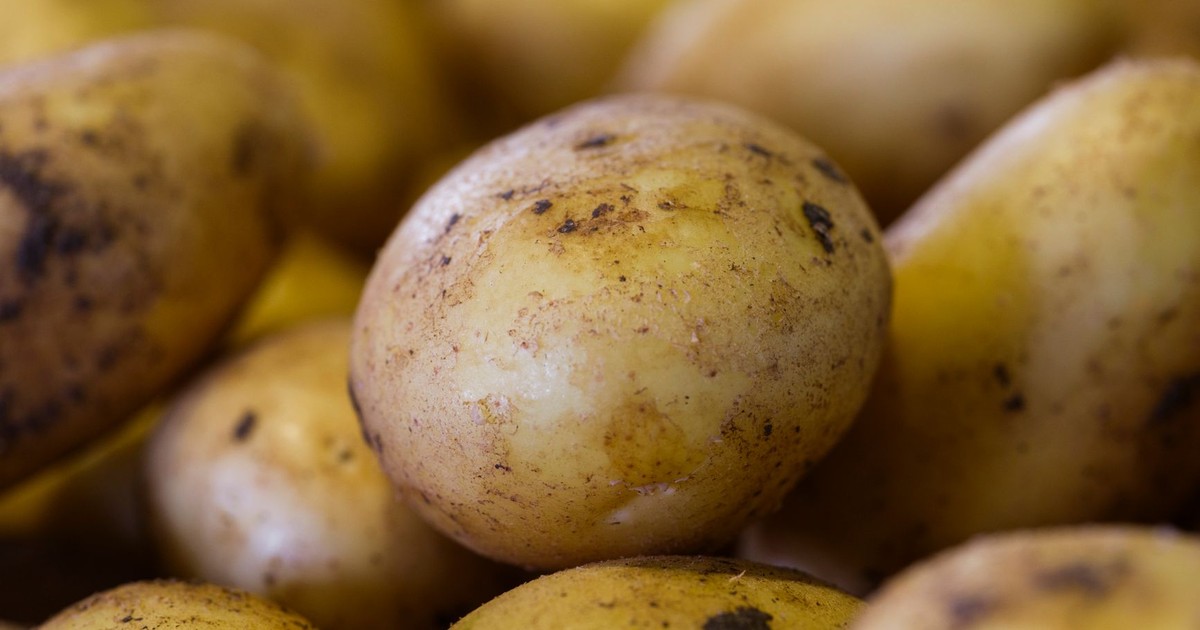 A close-up view of fresh, raw potatoes at a market stall. Perfect for healthy food concepts.