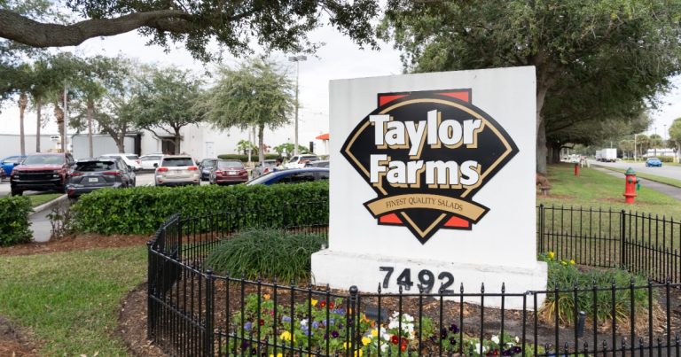 Major Retailers & Chains Pulling Lettuce Products Over Cyclospora Outbreak - Featured image