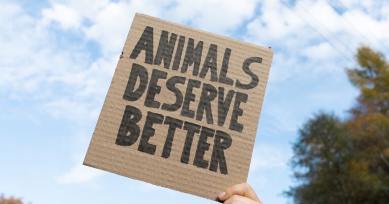 Oregon’s IP28: The Ballot Measure That Could Criminalize Hunting, Fishing & Farming - Featured image