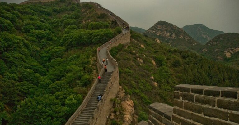 China Planted 66 Billion Trees in a Wall — And Something Strange Is Happening to Them - Featured image