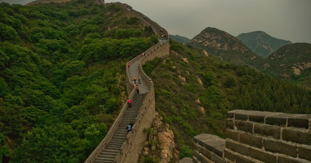 China Planted 66 Billion Trees in a Wall — And Something Strange Is Happening to Them