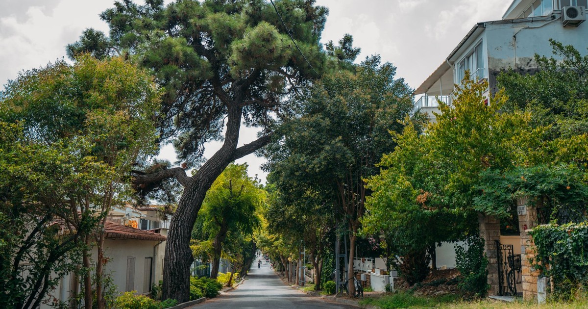 New Study Reveals Which Location Carries the Highest Risk of Dying From Dementia