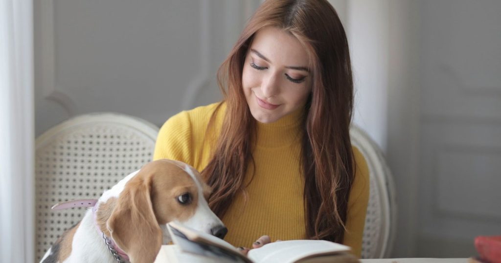 Dogs Brains Today Are Undergoing a Mysterious Expansion, Study - Featured image