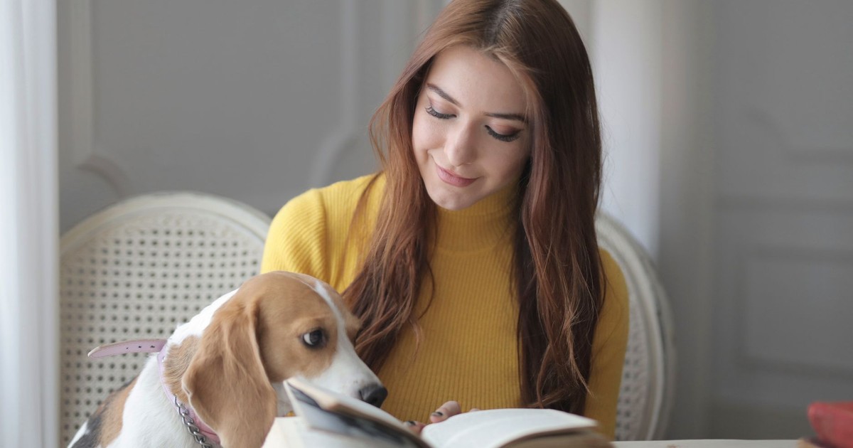 Dogs Brains Today Are Undergoing a Mysterious Expansion, Study