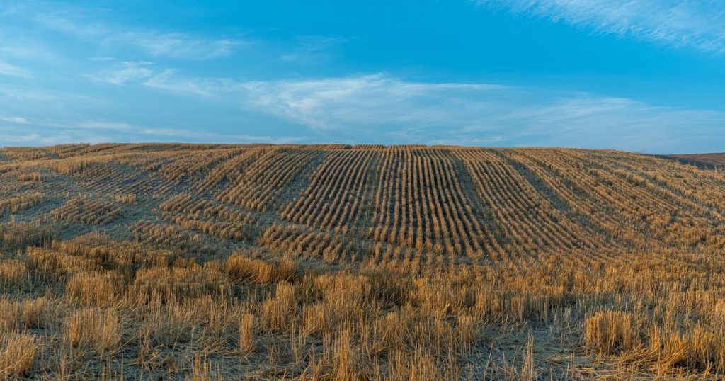 Food Shortages May Be Coming, and They Might Only Get Worse - Featured image