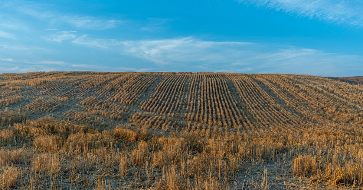 Food Shortages May Be Coming, and They Might Only Get Worse