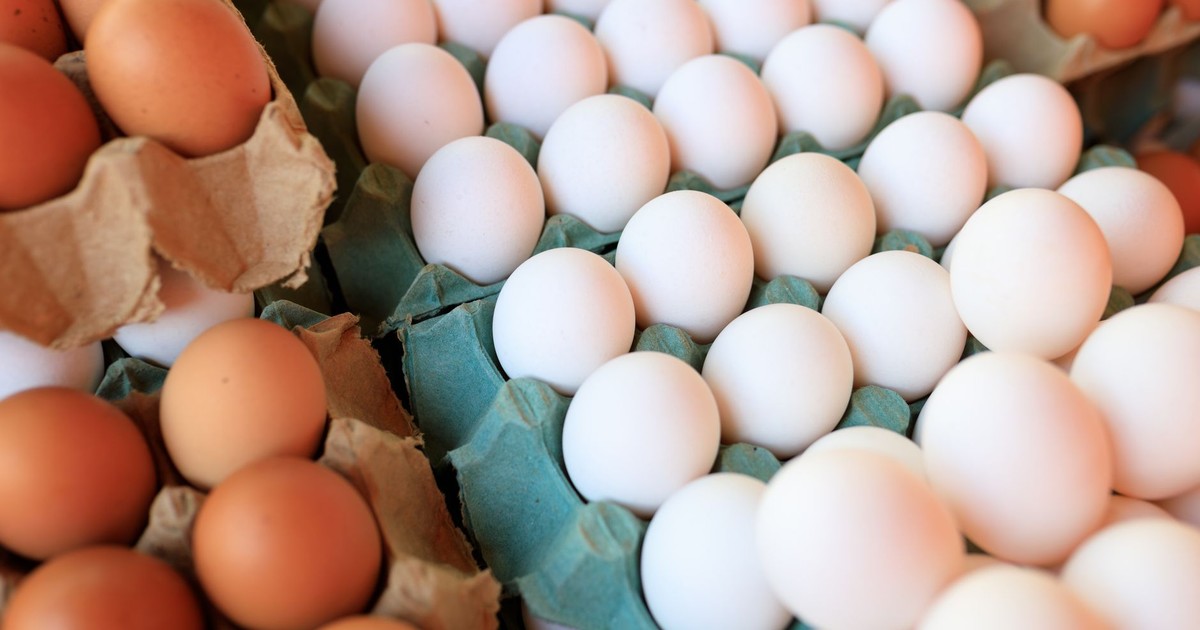 Close-up image of brown and white eggs arranged in cartons, showcasing natural food variety.