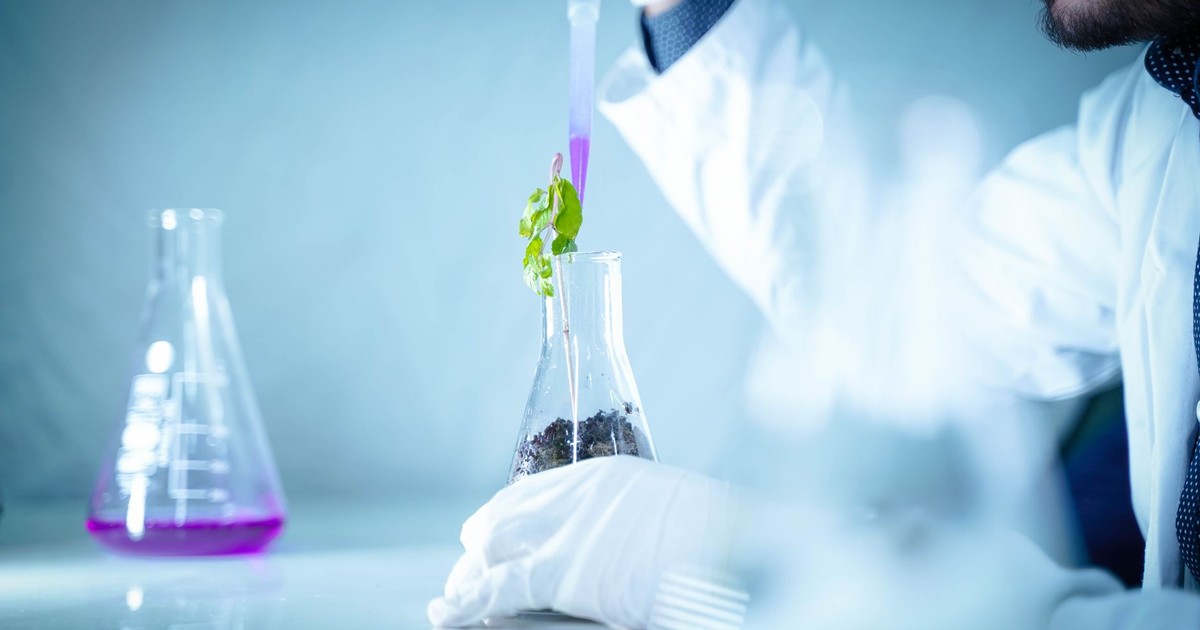 Scientist pouring liquid into a beaker with plant for a laboratory experiment.