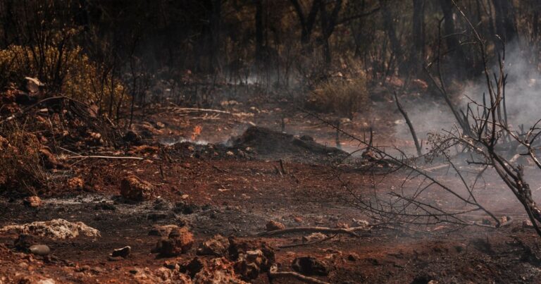 Scientists Have Mapped Out How Humanity Will End — and It Isn’t Pretty - Featured image