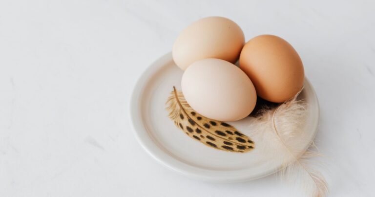 New Study Links Eating Eggs Regularly to Lower Alzheimer’s Risk - Featured image