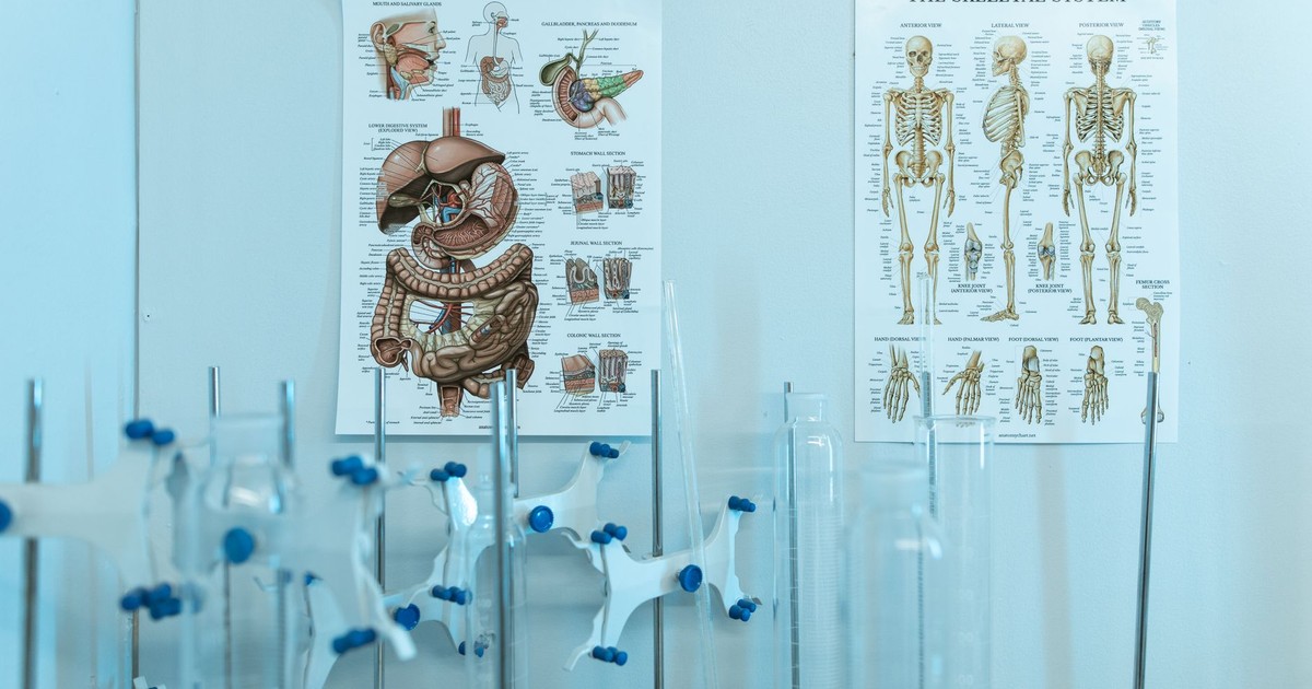 Colorful anatomy posters with laboratory apparatus showcasing human systems.