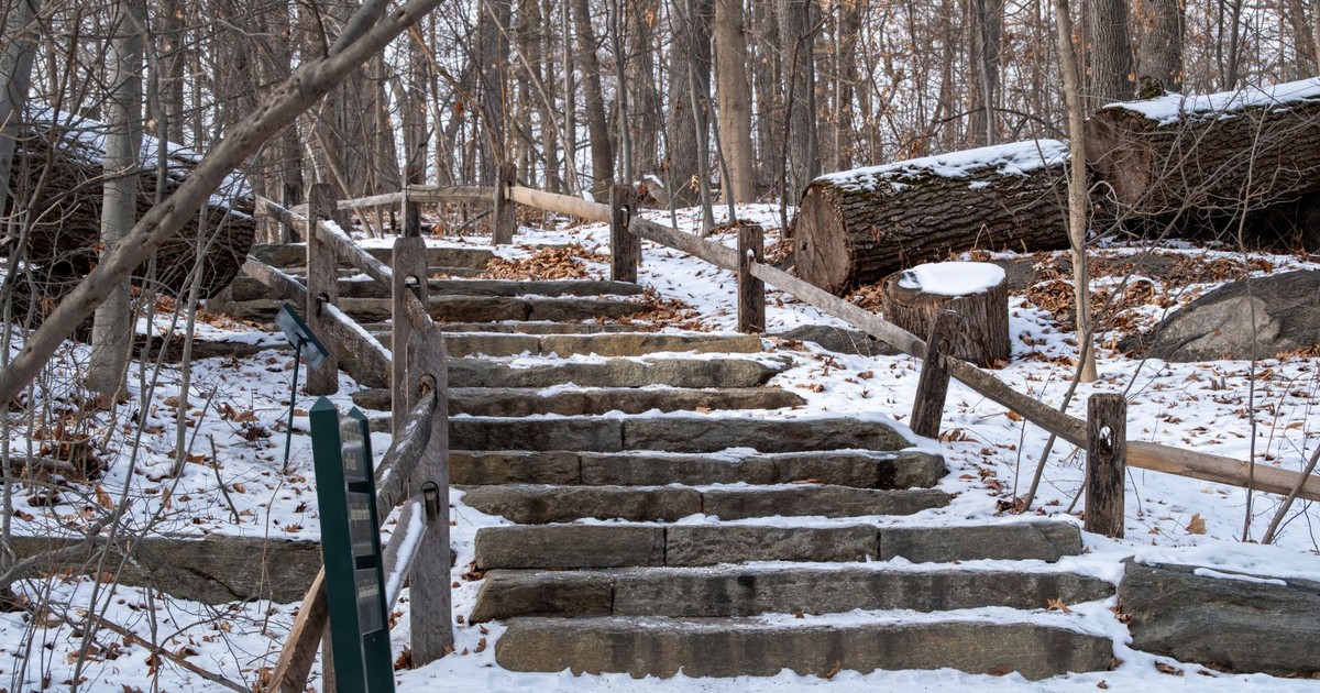 A serene winter scene with stone steps leading through a snowy forest path.