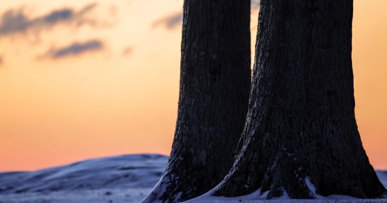 What Your Sunrise and Sunset Would Look Like If the Daylight Saving Bill Passes - Featured image