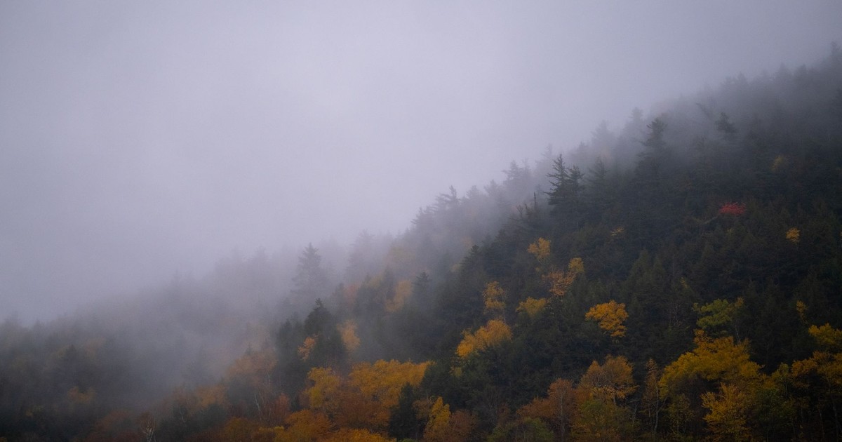 A scenic view of a misty autumn forest with vibrant fall colors in Vermont, USA.