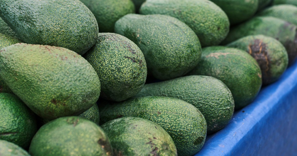 Abundant fresh green avocados arranged on a blue counter at a local market.